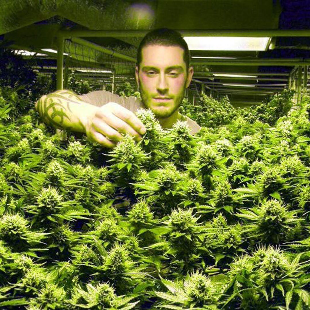 Старый Гровер